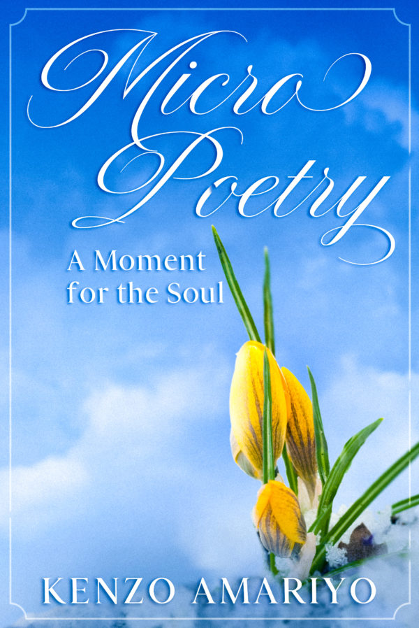 MicroPoetry